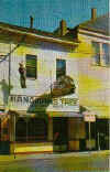 hangmanstreepostcard.jpeg (15038 bytes)
